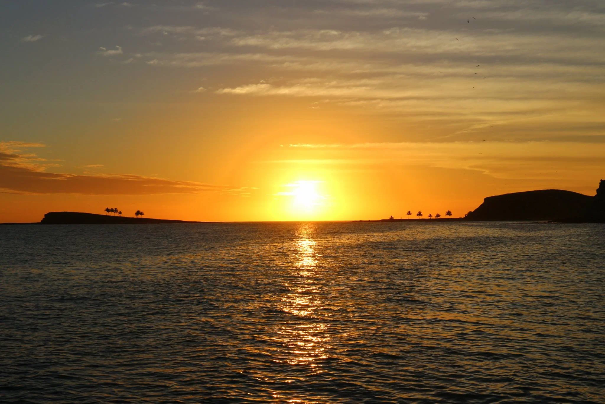 Foto do album Abrolhos